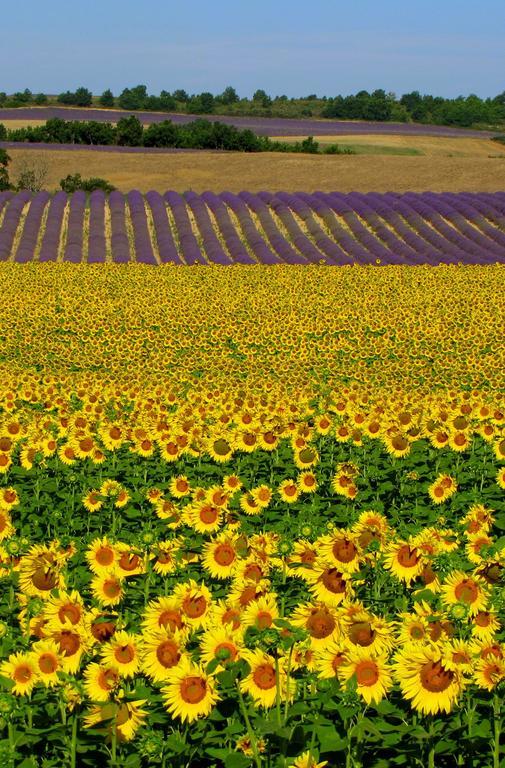 Bed and Breakfast Les Terrasses De Valensole Exterior foto