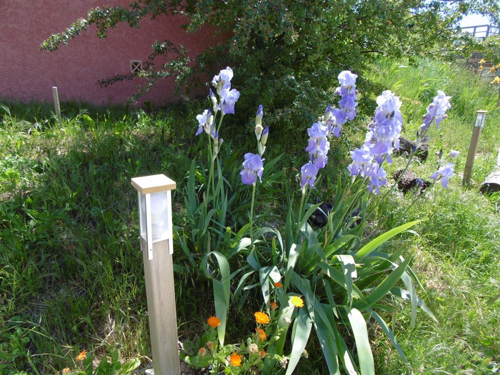 Bed and Breakfast Les Terrasses De Valensole Exterior foto